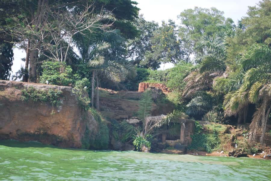 1-Day Best of Entebbe City Guided Walking Tour - Key highlights you’ll feel during the walk