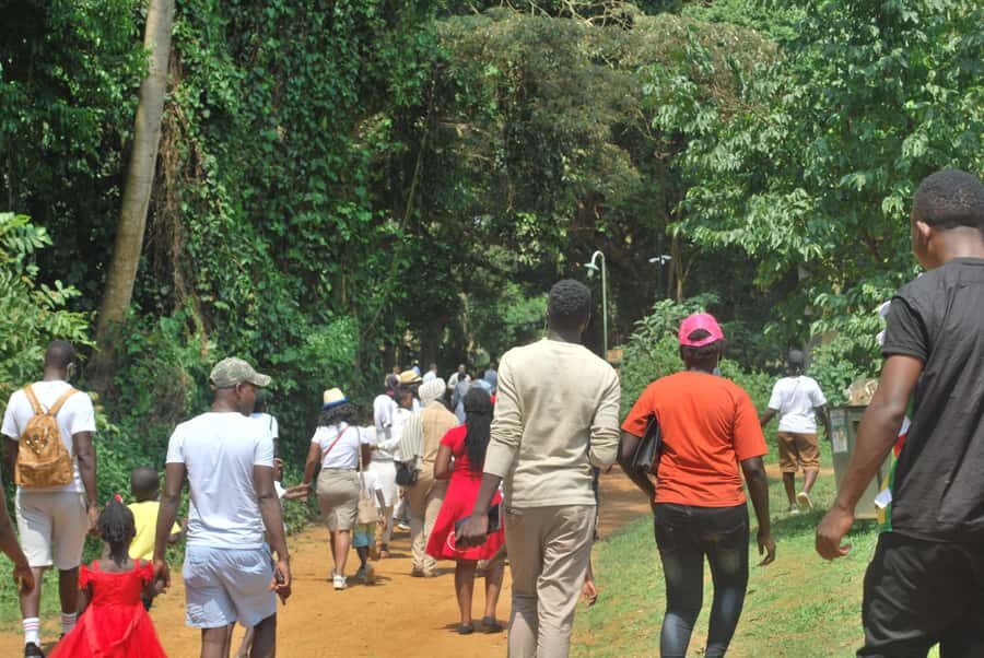 1-Day Best of Entebbe City Guided Walking Tour - Entebbe Botanical Gardens: your included nature reset