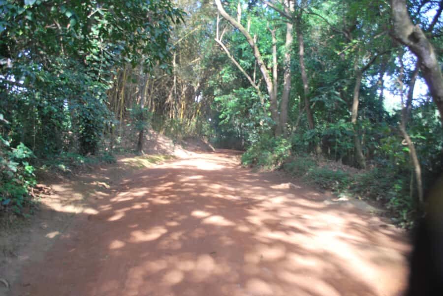 1-Day Best of Entebbe City Guided Walking Tour - Nambi fish market: lake life up close
