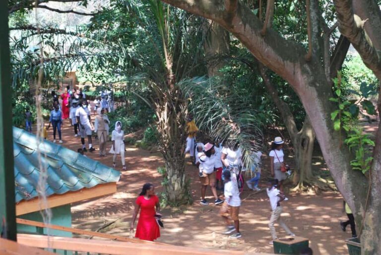 1-Day Best of Entebbe City Guided Walking Tour - Meeting at Victoria Mall and keeping the pace realistic