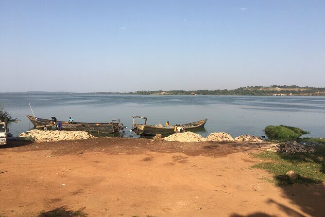 1 Day chimpanzee trekking at Ngamba Island - Ngamba Island: why this chimp trek feels different