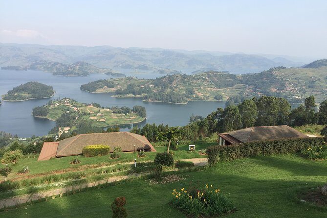 1 Day Gorilla Trekking Mgahinga Gorilla NP & Lake Bunyonyi - One hour with gorillas: how the moment usually feels
