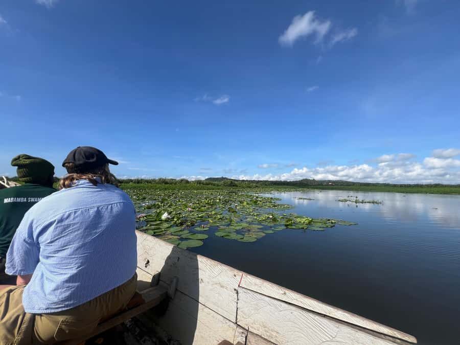 1-Day Mabamba Shoebill Birding Tour in Lake Victoria Entebbe - Canoe Channels: The Best Way to Get Close Without Rushing