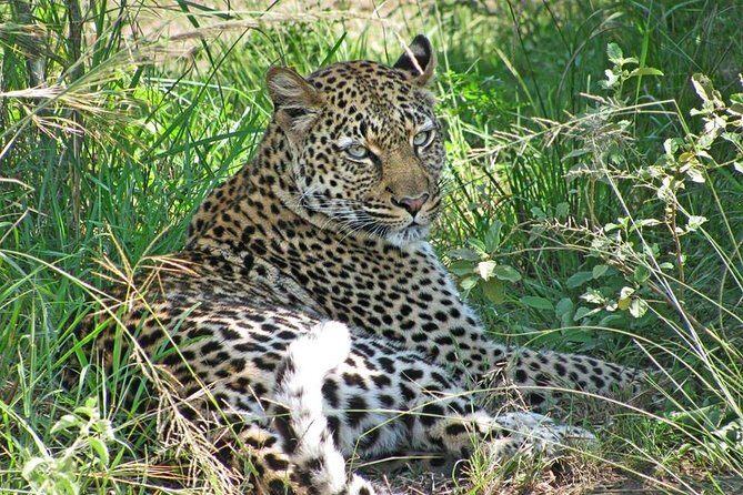 10 Day Best of Uganda Adventure Safari - Back to Entebbe: a final nature walk and one last boat scene