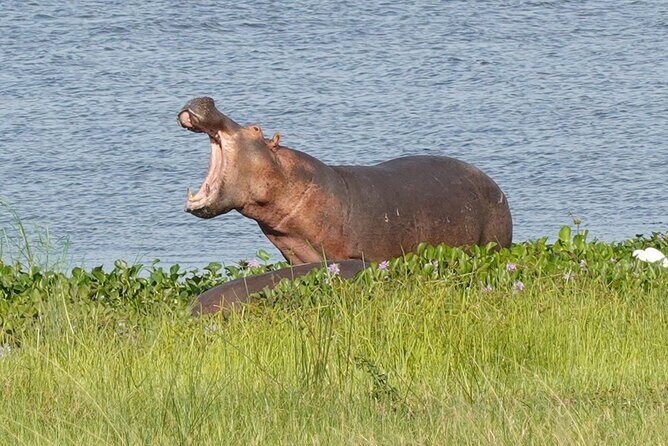 10-Day Big-7 Private Tour Experience in Uganda Safari - Lake Bunyonyi on Day 8: rest time that still feels like Uganda