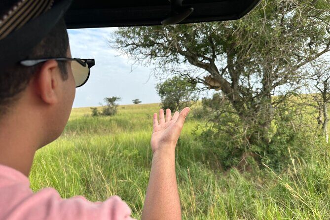 10 Day Uganda Memorable Lifetime Gorilla and Chimpanzee Safari - Key Highlights You’ll Want to Know