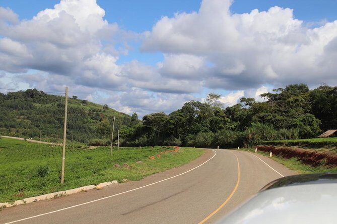 10 Day Western Uganda Budget Wildlife Safari - Day 2: Murchison Falls game drive plus the Nile boat trip