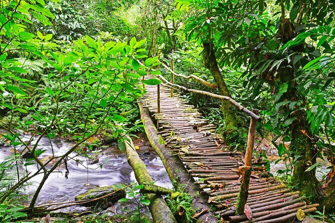10 Days Affordable Gorilla Trekking Holiday - Price, included value, and what you should mentally budget for