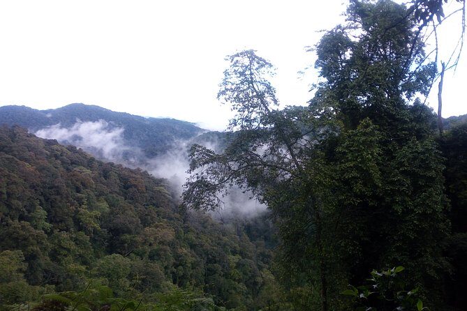 10 Days Uganda Gorilla & Chimpanzee Trekking Safari - Queen Elizabeth transfer day and Kazinga Channel boat time