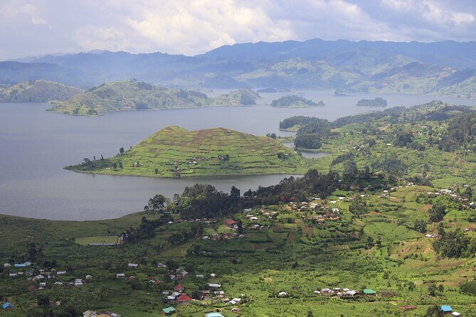 10-Days Uganda Gorillas and Chimpanzee Wildlife Discovery - Kibale Forest National Park: chimp tracking and a swamp walk