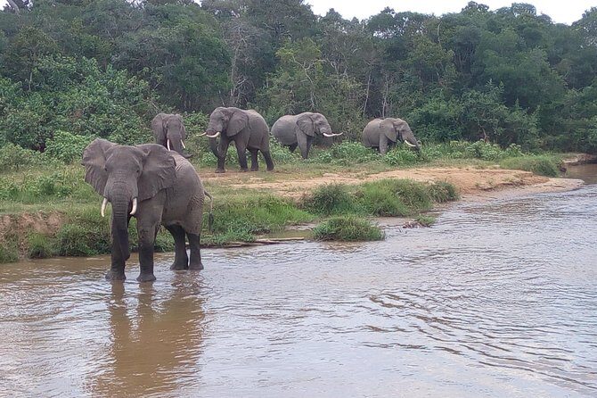 11 Days Uganda +Gorillas - Lake Bunyonyi: the calm landing after wildlife intensity