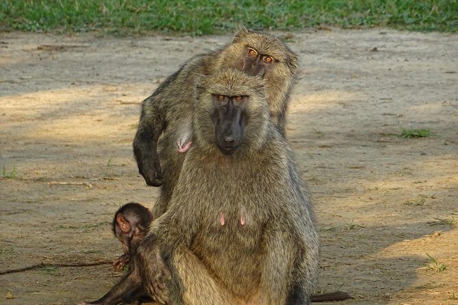 12 Days Memorable Experience tour in Uganda - Moroto via Nakapiripirit and Kara Tunga: cultural visits plus biking and gold mining