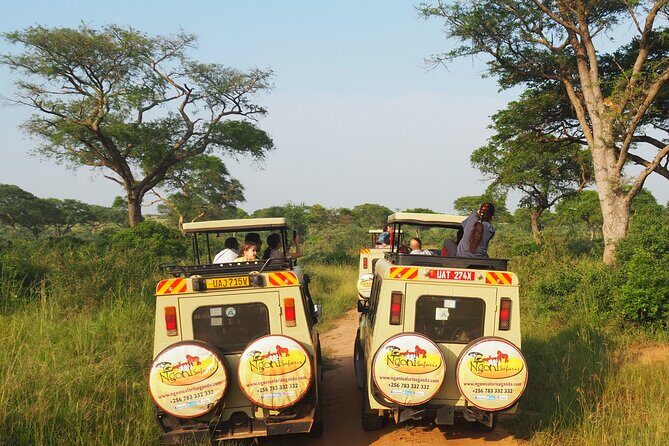 13-Day Wildlife Adventure Trip to the Pearl of Africa - Bwindi Impenetrable: the gorilla day that defines Uganda safaris