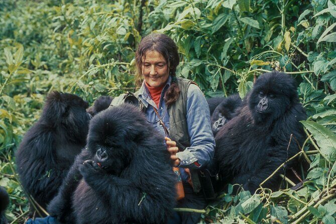 13 Days Wildlife Adventure Trip To The Pearl Of Africa - Murchison Falls: the launch trip and the optional climb