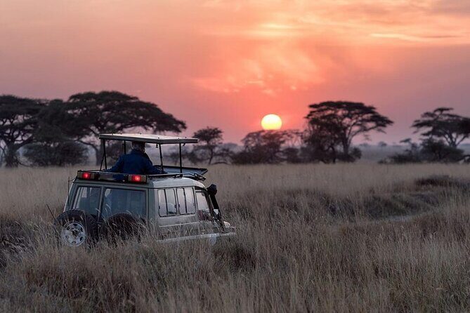 13 Days Wildlife Adventure Trip To The Pearl Of Africa - Queen Elizabeth National Park: game drives, crater roads, and the Kazinga payoff