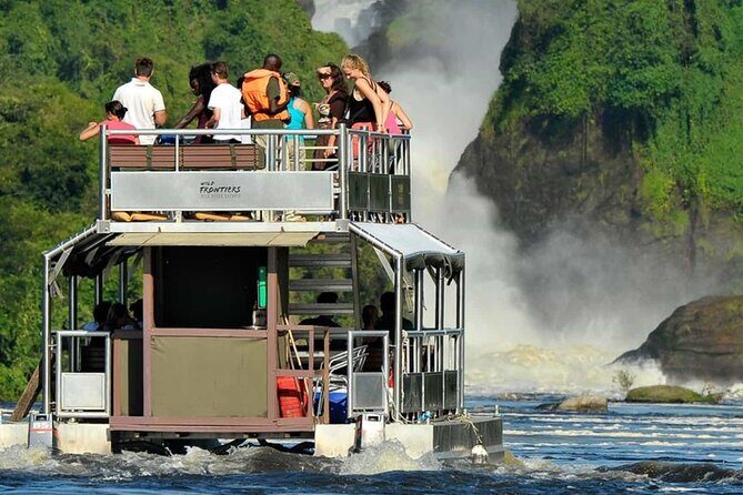 13 Days Wildlife Adventure Trip To The Pearl Of Africa - Bwindi gorilla trekking: one hour with a mountain gorilla group