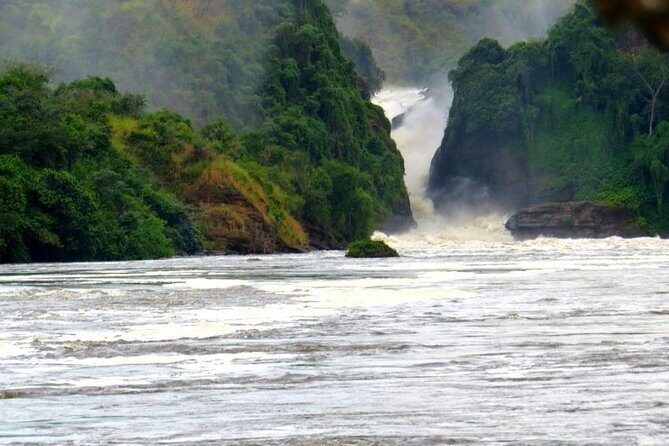 15 Day Gorillas, Chimps and Big 5 Safari Tour - Day 1-4: Murchison Falls for Big Five energy, then Semuliki hot springs