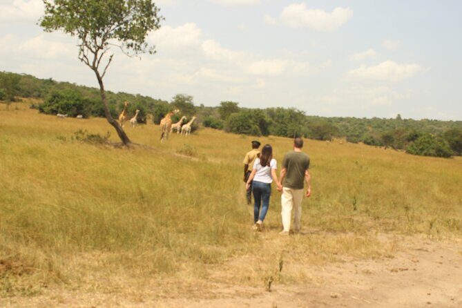 2 Day Lake Mburo National park wildlife Safari - From Kampala Serena to the Green Equator stop: a road break that feels human