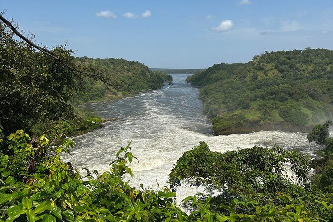 2 Days Budget Safari to Murchison Falls National Park - Dawn Game Drive on the Queen and Albert Tracks: The Best Shot at Predators