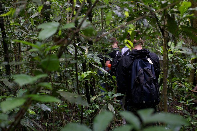 2 Days Chimpazee Safari In kibale Forest Park Uganda. - Accommodation and meals: what “reserved lodge” means for you
