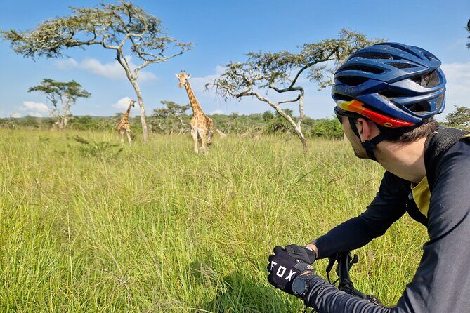 2 Days Cycling Safari To Lake Mburo National Park - Night Safari Expectations: Daytime Bike Safari Is the Core Here