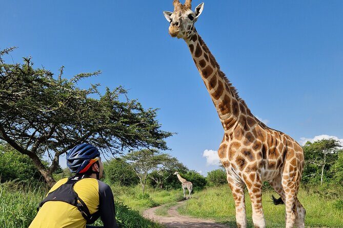 2 Days Cycling Safari To Lake Mburo National Park - Bicycles, Helmets, and Your Fitness Level: What to Prepare For