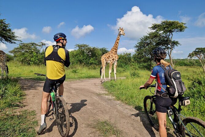 2 Days Cycling Safari To Lake Mburo National Park - Full Board Accommodation: One Overnight, Meals Taken Care Of