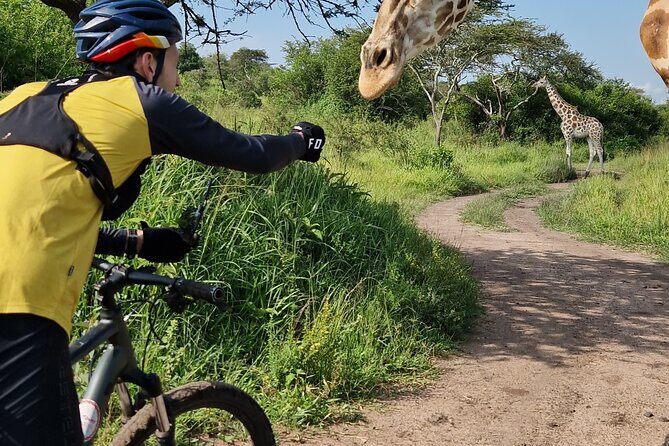 2 Days Cycling Safari To Lake Mburo National Park - Price and Value: What $575 Gets You for a Two-Day Safari