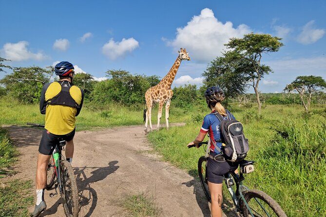 2 Days Cycling Safari To Lake Mburo National Park - Group Size, Guides, and the Small-Moment Advantage