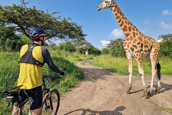 2 Days Cycling Safari To Lake Mburo National Park - Day Two Inside Lake Mburo: More Trails, More Chances