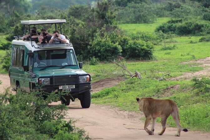 2 Days Murchison Falls Park Vacation - Kampala to Ziwa: starting with rhinos, not just driving