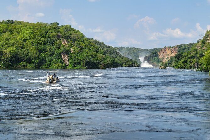 2 Days Murchison Falls Park Vacation - Wildlife spotting odds: what you can realistically hope to see