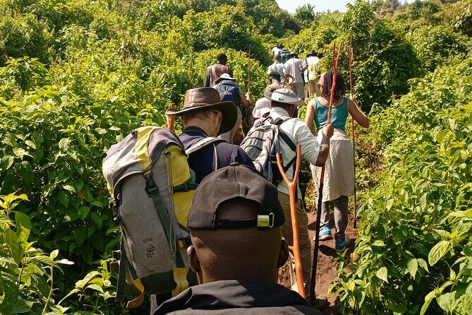 2 Days Sipi Falls Hike and Coffee Tour - Food and the Small Stops That Make It Feel Local