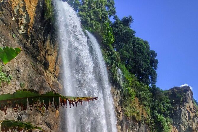 2 Sipi Falls hike and Coffee Tour Experience - Price and value: where the $40 really goes
