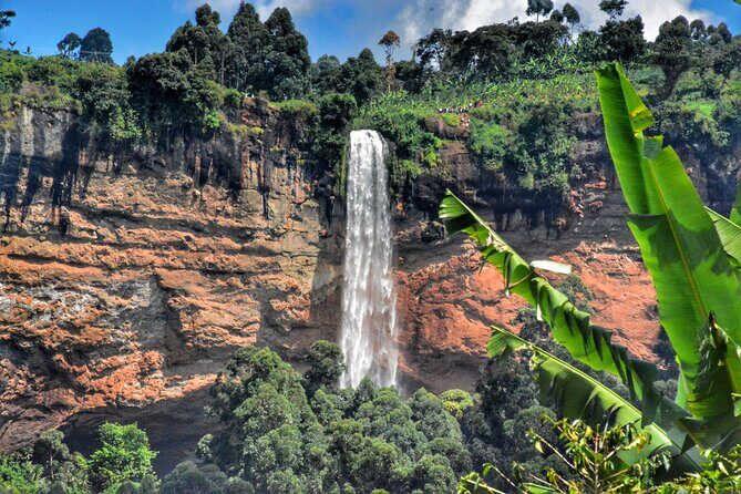 2 Sipi Falls hike and Coffee Tour Experience - Guides, safety, and pace: what people praise the most