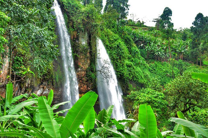 2 Sipi Falls hike and Coffee Tour Experience - Day 1 through Mbale: first waterfall time and local culture