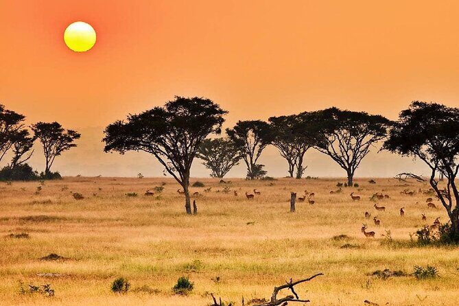 25 day uganda Rwanda kenya and Tanzania safari Zanzibar inclusive - Bigodi Wetlands to Kibale chimp trekking: primates plus community time