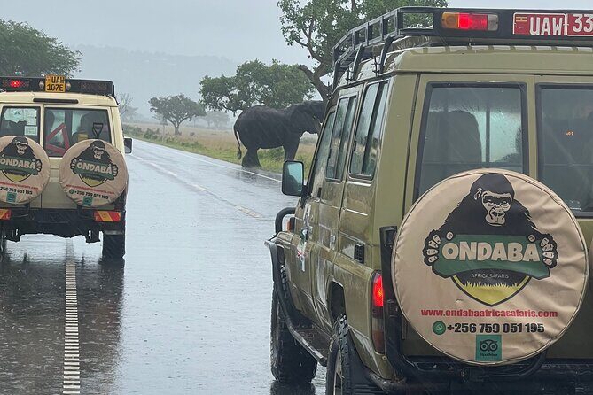 2Days Murchison Falls NP Safari - Should you book the 2Days Murchison Falls NP Safari?