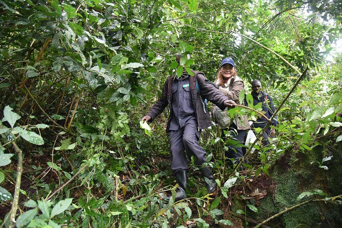3-Day Gorilla Trekking safari in Bwindi Impenetrable Forest - Day 2 to Lake Bunyonyi: Turning Trek Energy Into Scenic Calm