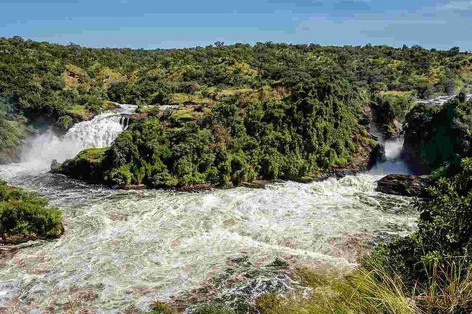 3-Day Mind Refreshing in Murchison Falls National Park - From Entebbe pickup to Murchison Falls action in 3 days