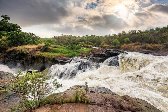 3-Day Mind Refreshing in Murchison Falls National Park - Rhino Fund Uganda / Ziwa Rhino Sanctuary: the rhino moment before the big park