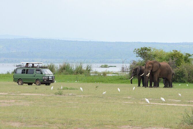 3 Day Murchison Falls' BIG 5 and Wildlife viewing Safari - Game drives plus rhino tracking are the “Big Five” backbone
