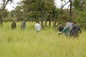 3-Day Murchison Falls National Park - Adventure Safari - Day 1 in the real Uganda rhythm: Ziwa Rhino Sanctuary, the drive up, and Murchison Falls first