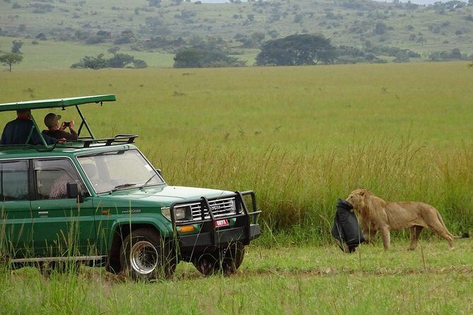 3-Day Murchison Falls National Park - Adventure Safari - Guides like Twaha, George, and Oscar: why the right driving matters here