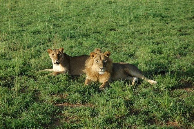 3-Day Murchison Falls National Park - Adventure Safari - What you’ll actually do each day (and what to watch for)