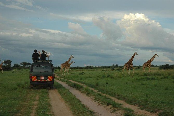3-Day Murchison Falls National Park - Adventure Safari - Timing, weather, and comfort tips that make the trip better