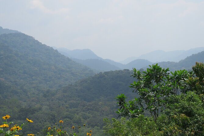3 -Day Private Gorilla Trekking Safari in Bwindi Forest - The first big reset: Lake Bunyonyi right after the gorillas