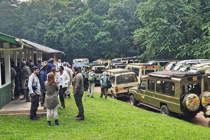 3-Day Private Guided Gorilla Trekking In Uganda - Meals, Private Transport, and the Smoothness Factor