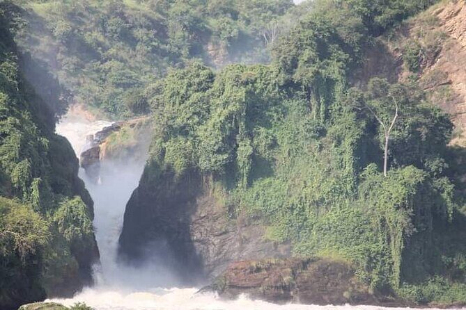 3-Day Private Safari of Murchison Falls National Park - Kampala pickup and the reality of a 6:00 am start