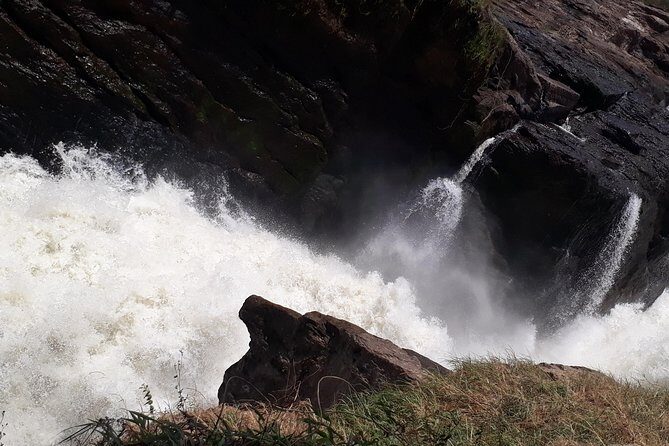 3 Day Private safari to Murchison Falls National Park with Big Five Experience - Key highlights to know before you go